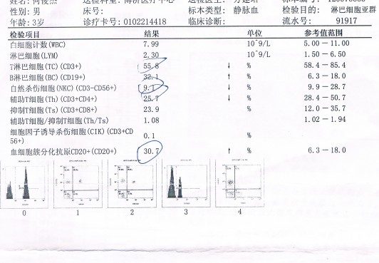 B淋巴群报告