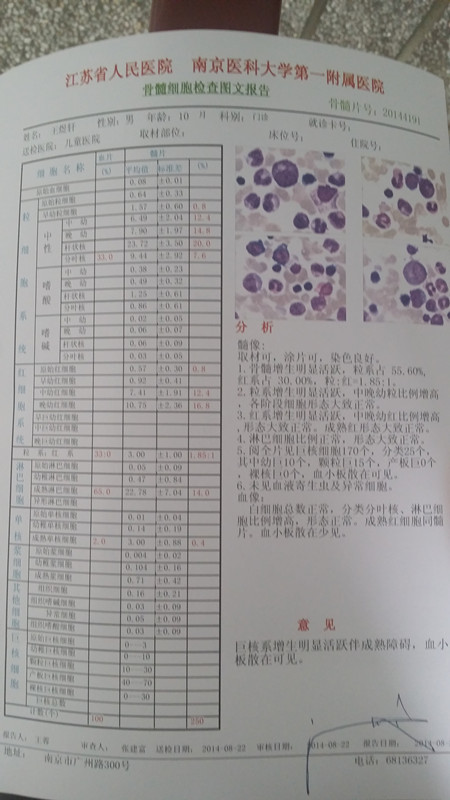 骨穿报告