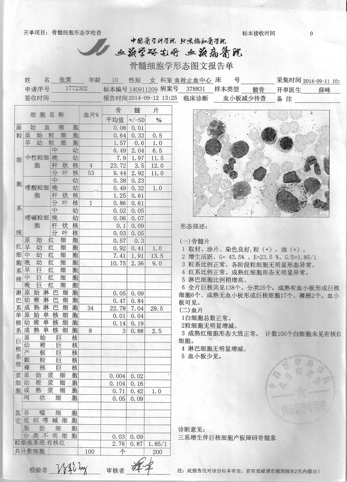 2骨髓细胞形态学检查-髂骨-1.jpg