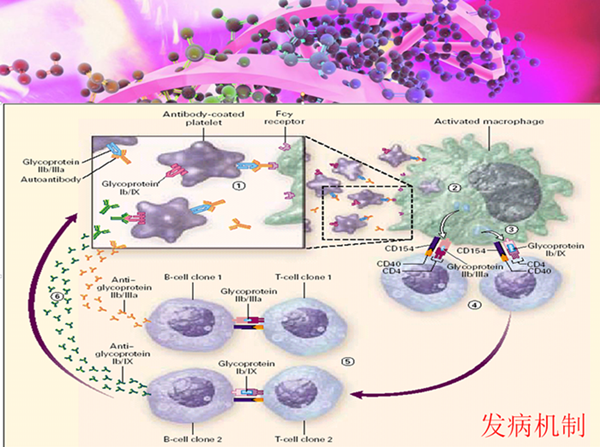 图片1_副本.png