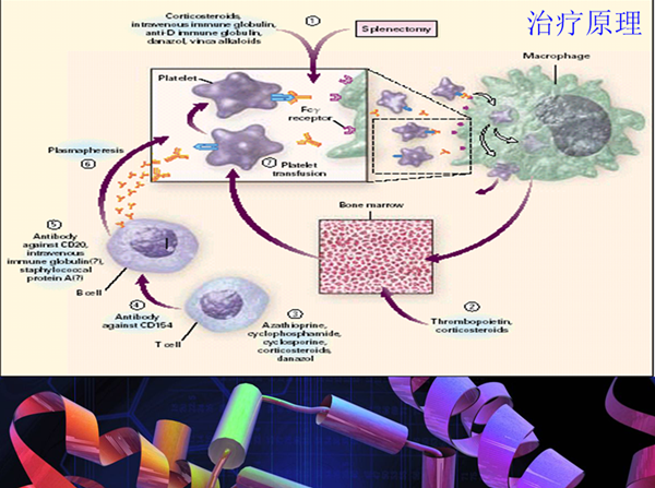 图片2_副本.png