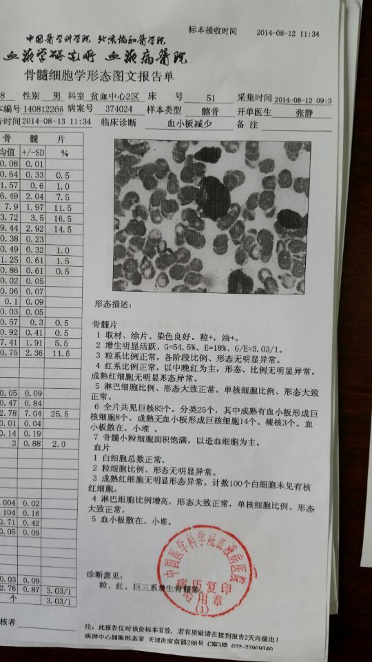 2014.8.12日骨髓细胞学形态图文报告单：