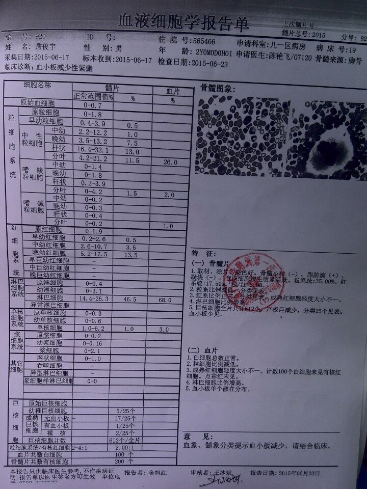 骨穿报告