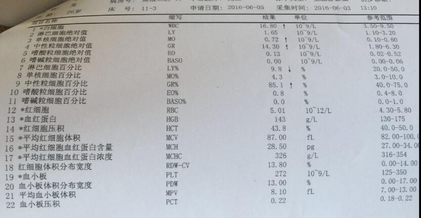 5-6月3日血常规.jpg