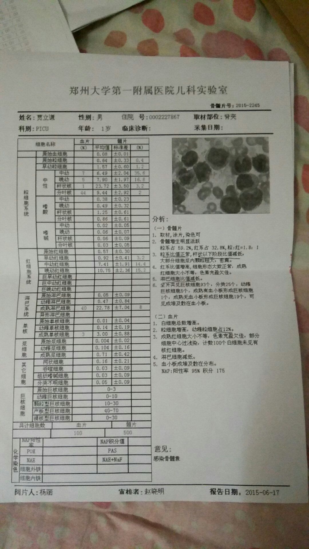 2015年骨穿