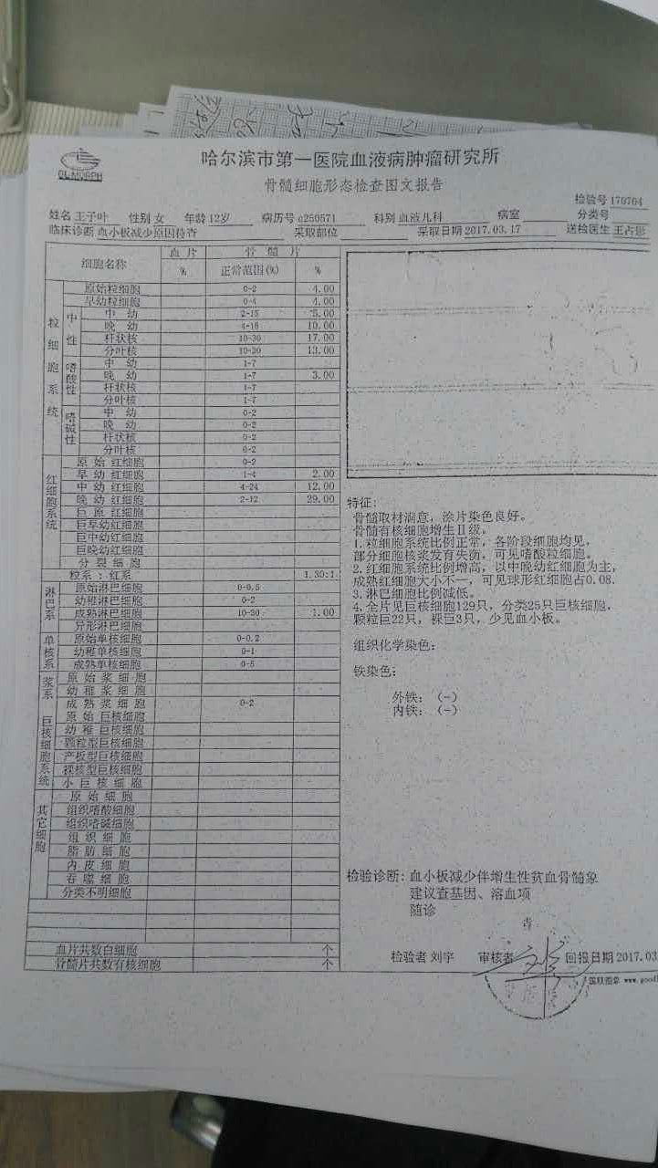 未输板，未打TPO，测量的