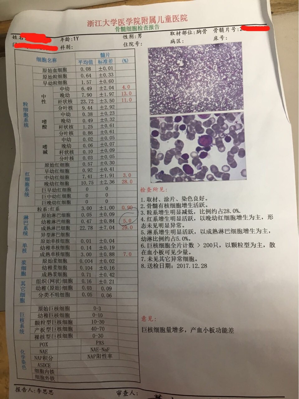 骨穿报告.jpg