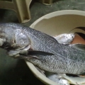 我的相册