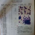儿子病例用药