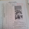 骨穿
