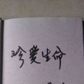 中医药