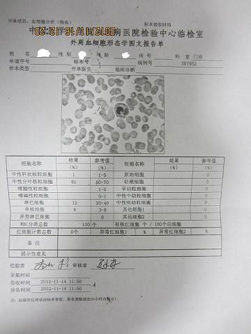 天津血研所外周血细胞形态学报告.JPG