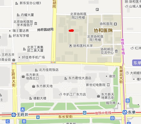 协和2.jpg