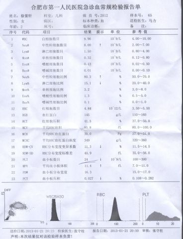 血常规