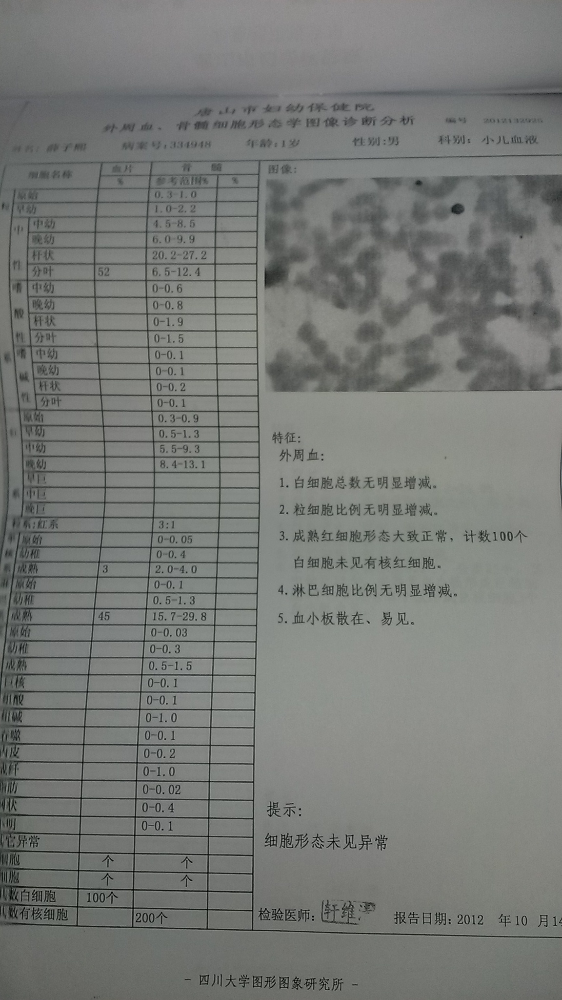 结果