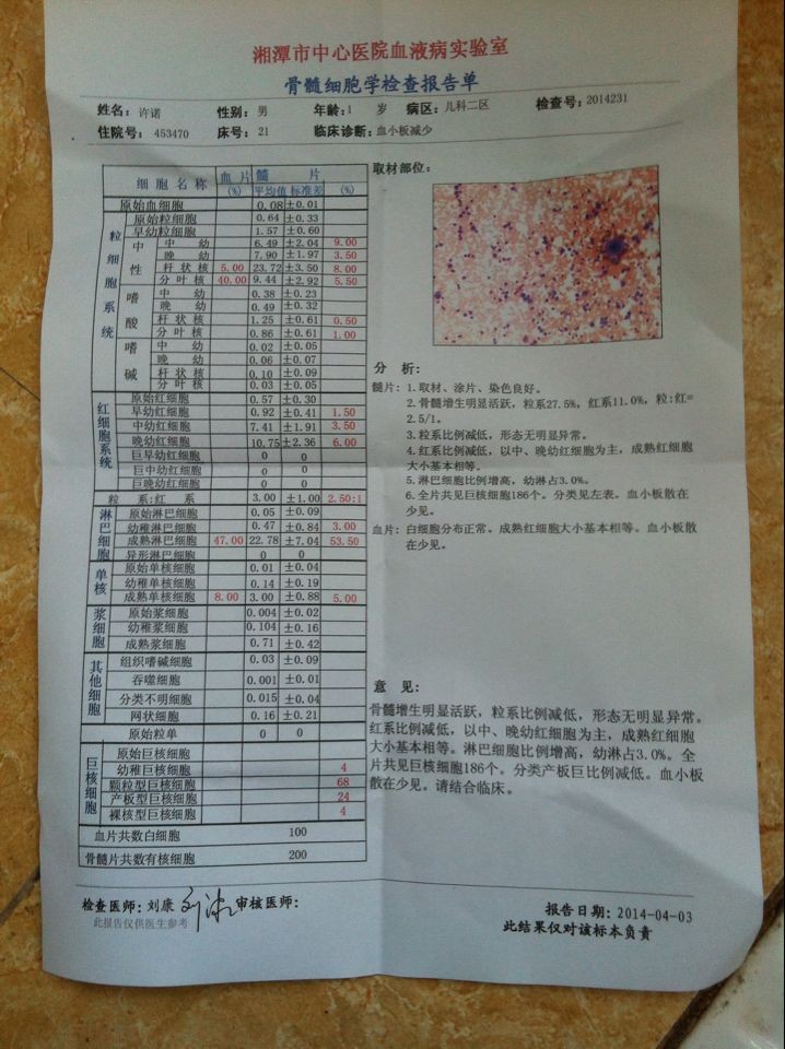 骨穿报告.jpg