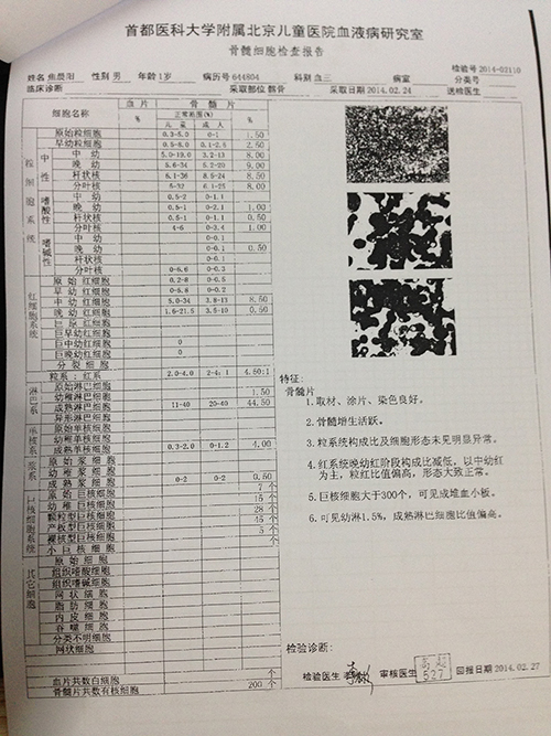 第二次骨穿