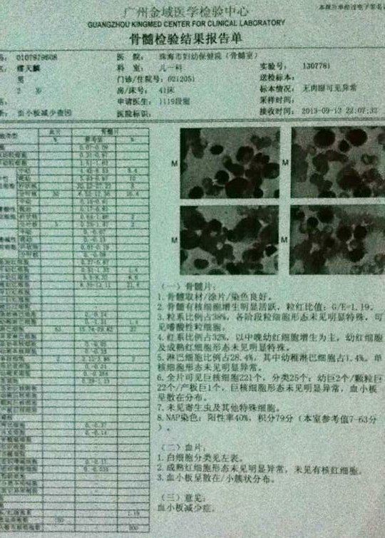 这是去年9月13日做的骨穿报告