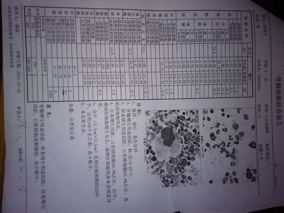 骨穿检查报告