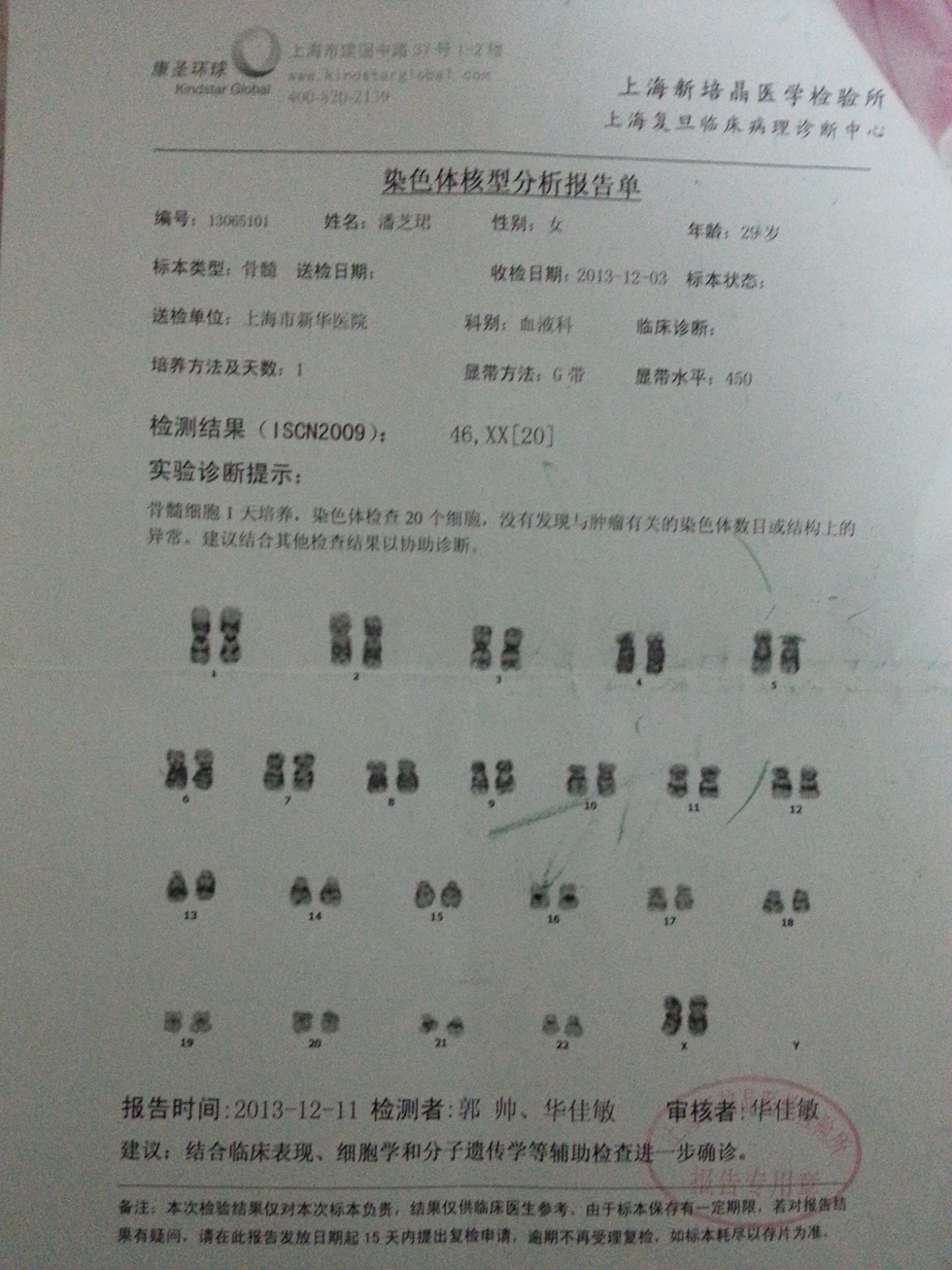 染色体报告.jpg