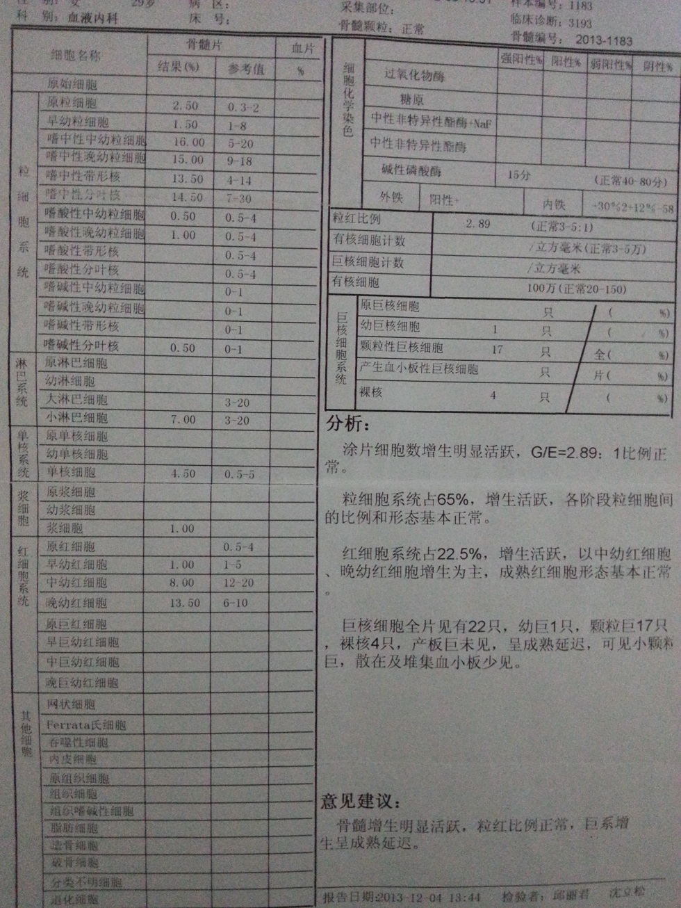 骨髓报告.jpg