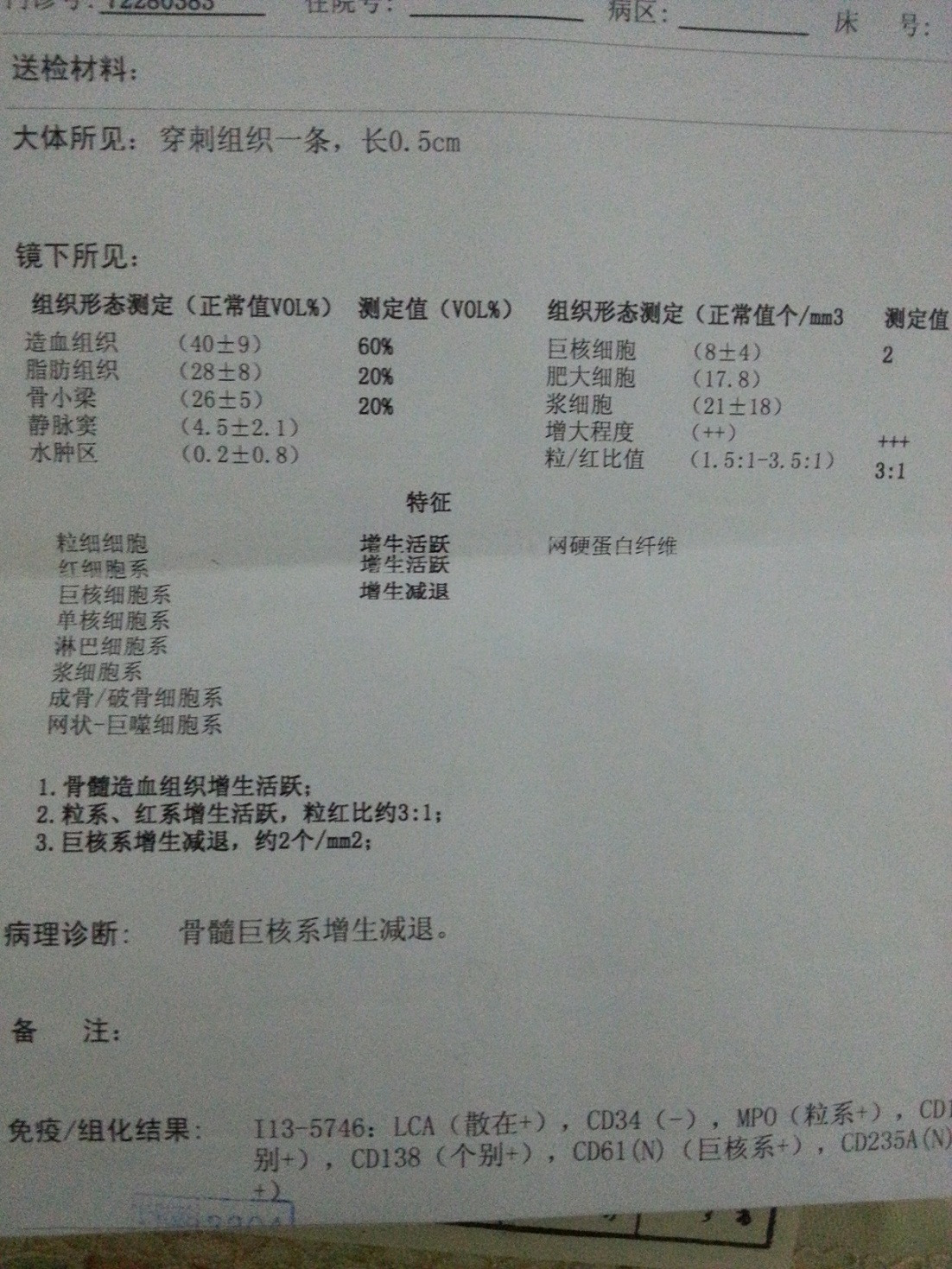 活检报告.jpg