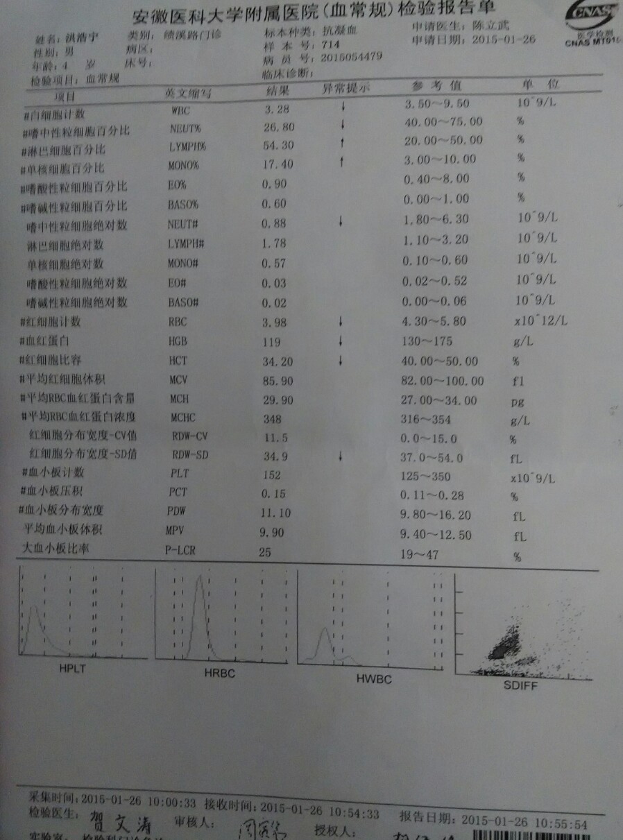 1月26血常规