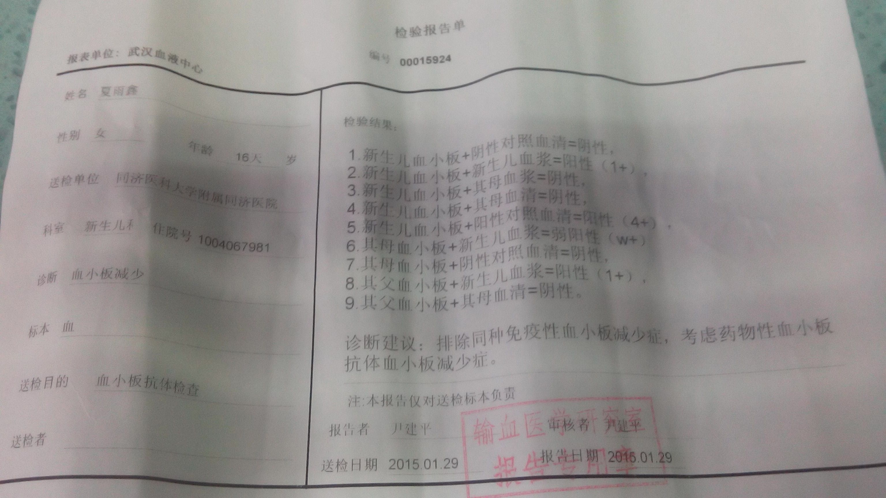 血小板抗体检查结果.jpg