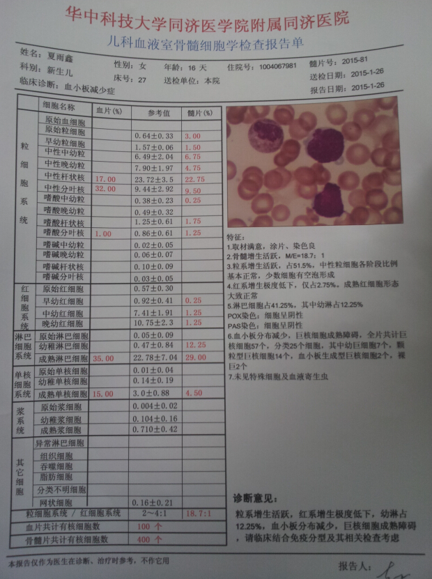 骨穿结果.jpg