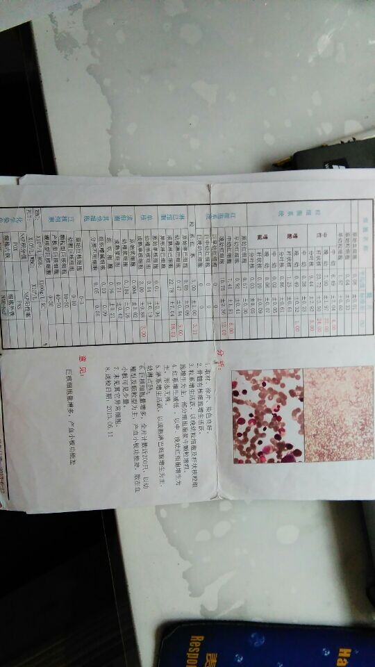 骨髓报告-2013.jpg
