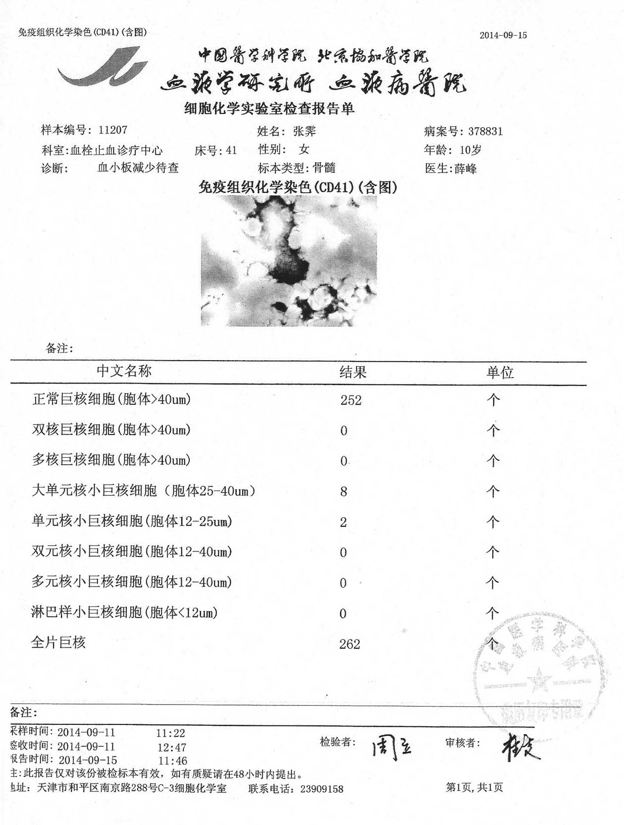 12免疫组织化学染色-F.JPG