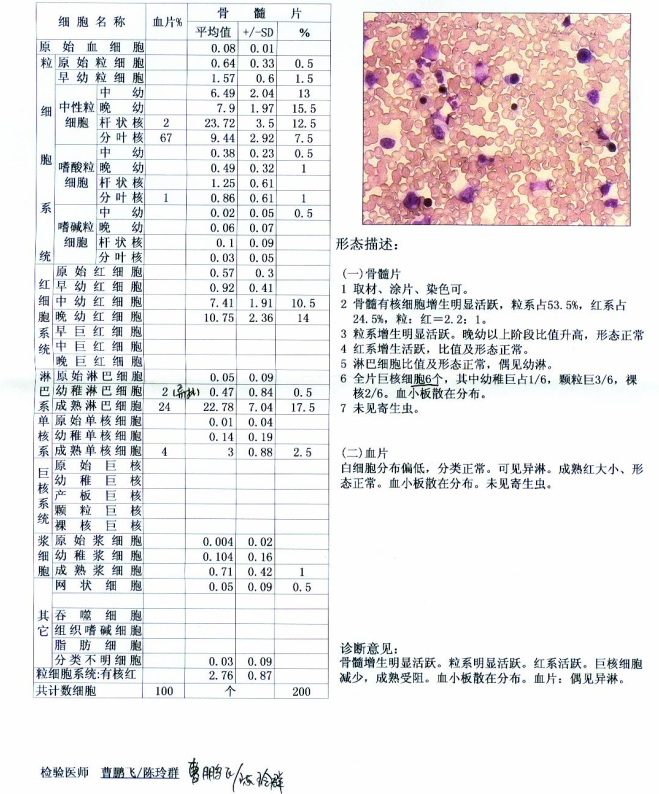 2010年骨穿
