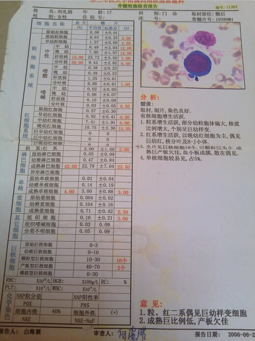 06年骨髓检查
