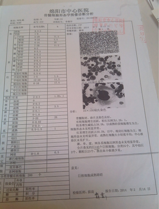 14年骨髓检查