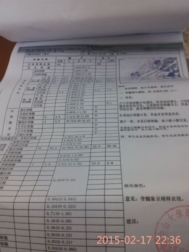 骨穿结果