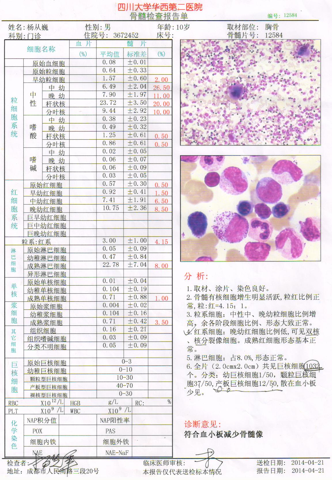 14-04-21激素前骨穿.jpg