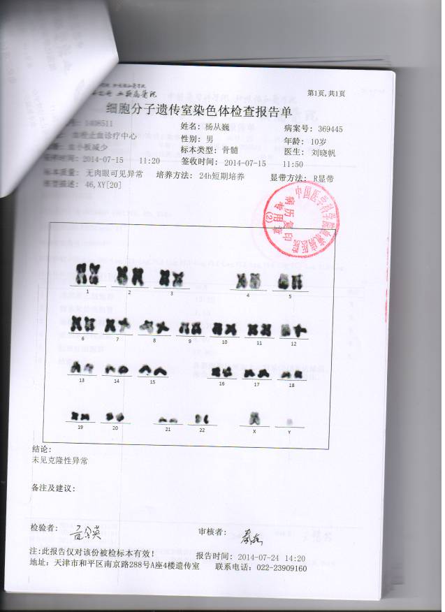 染色体.jpg