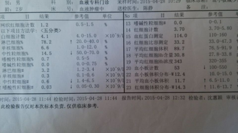 全血检查