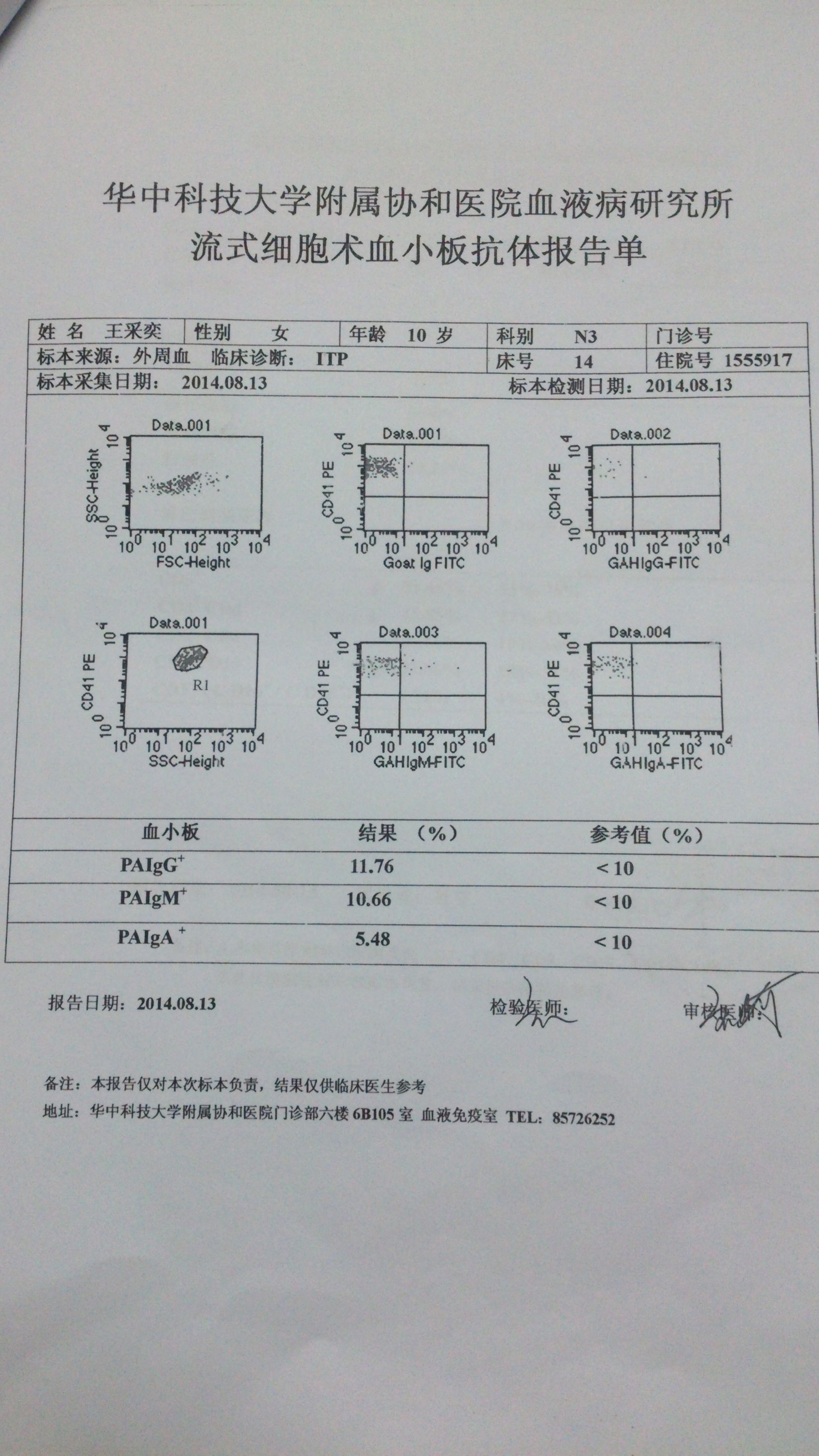 8月13日血小板抗体