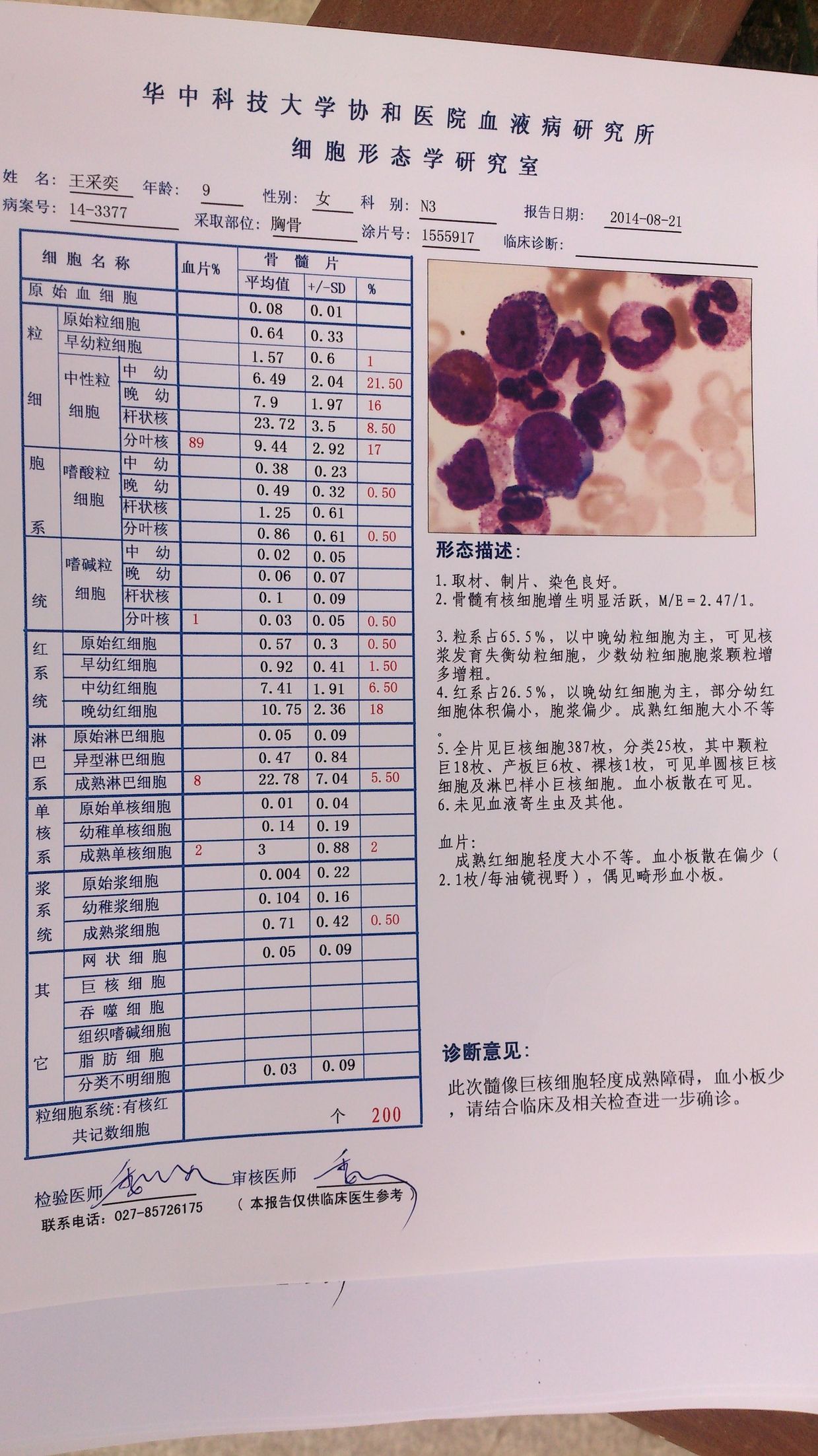 8月19号骨髓穿刺