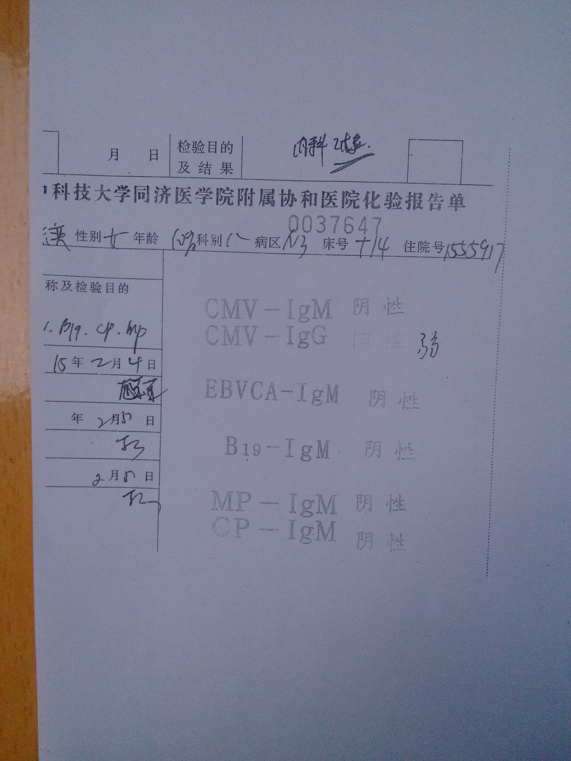 15年2月4号巨细胞病毒