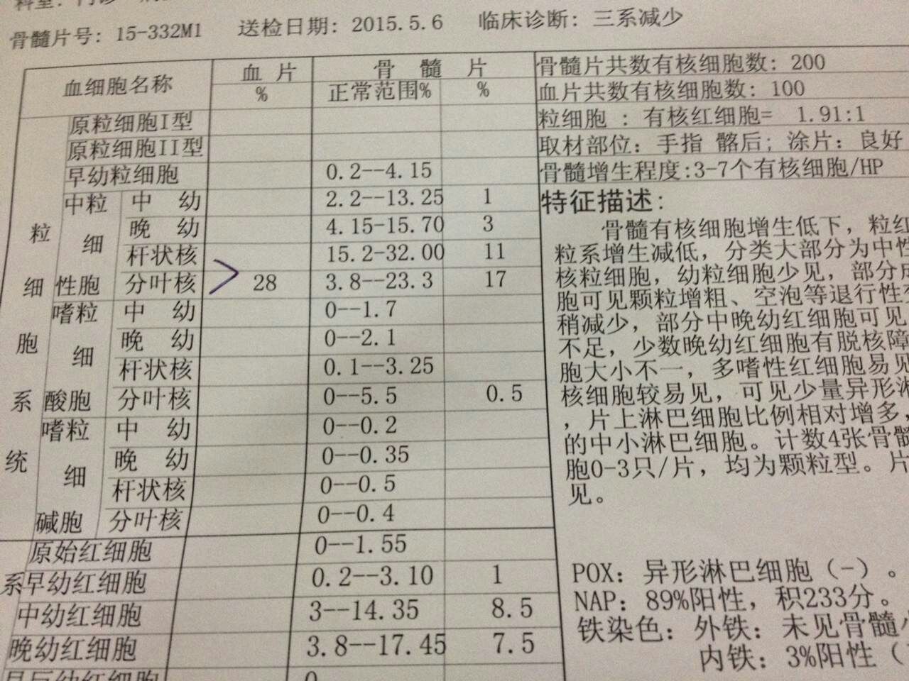 骨髓穿刺报告1