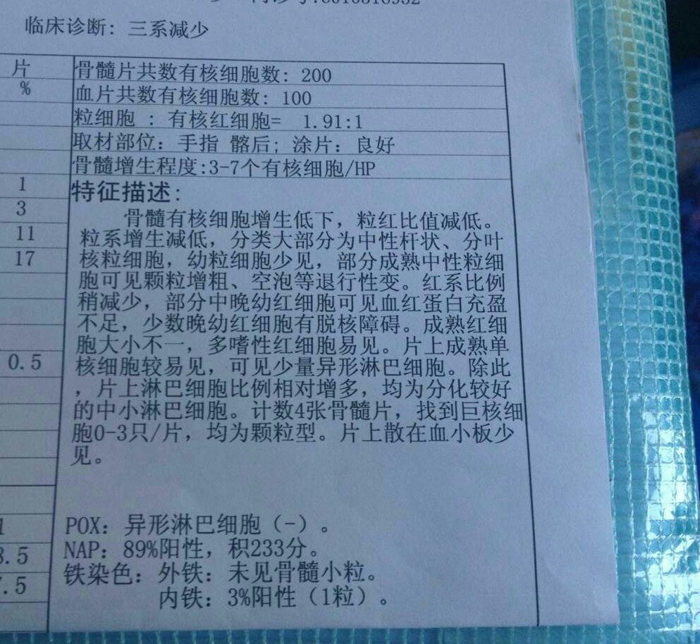 骨髓穿刺报告3
