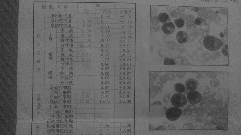 1_副本.jpg