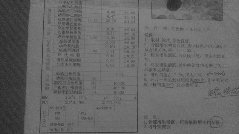 2_副本.jpg