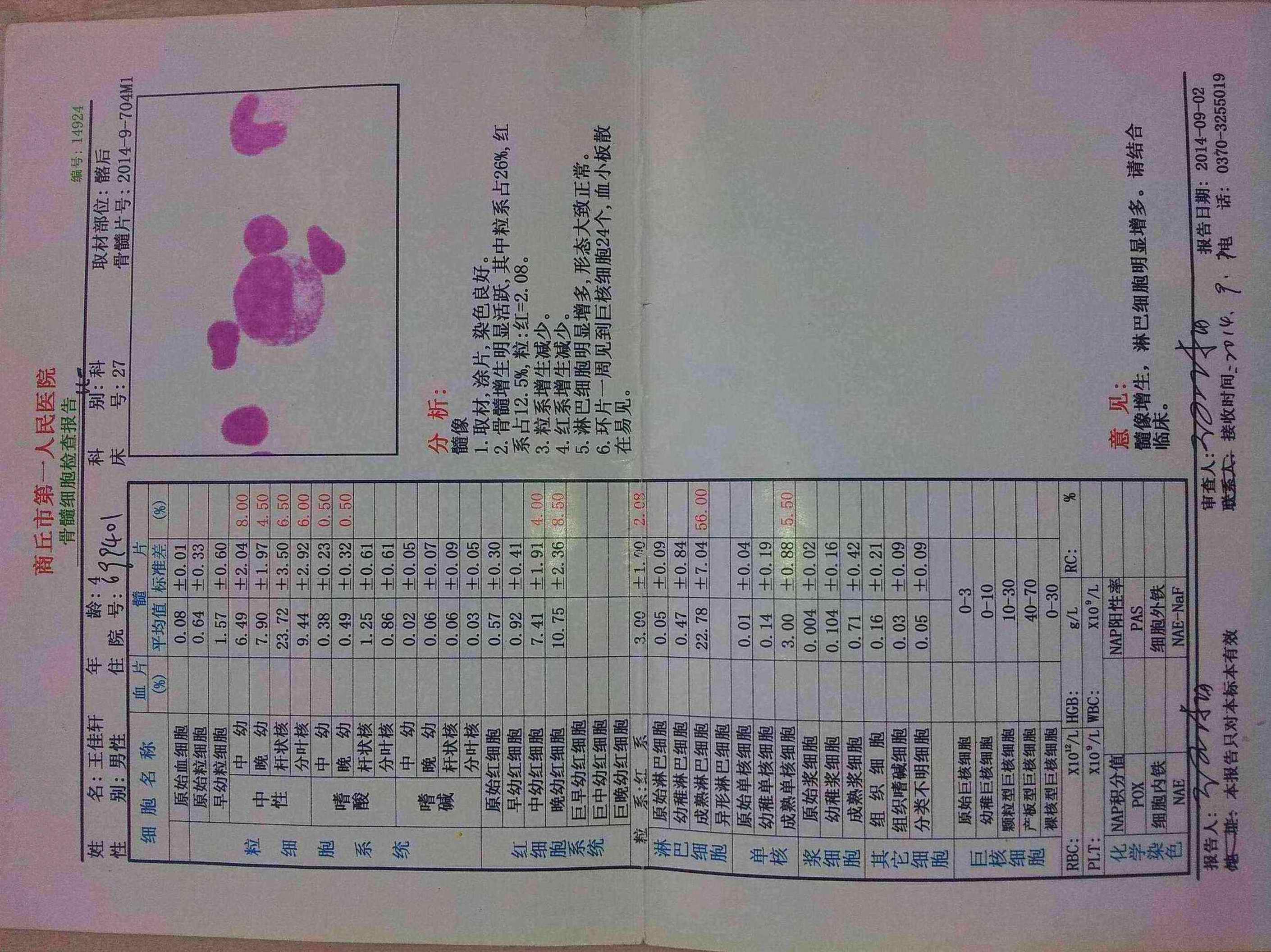 9月2号骨穿