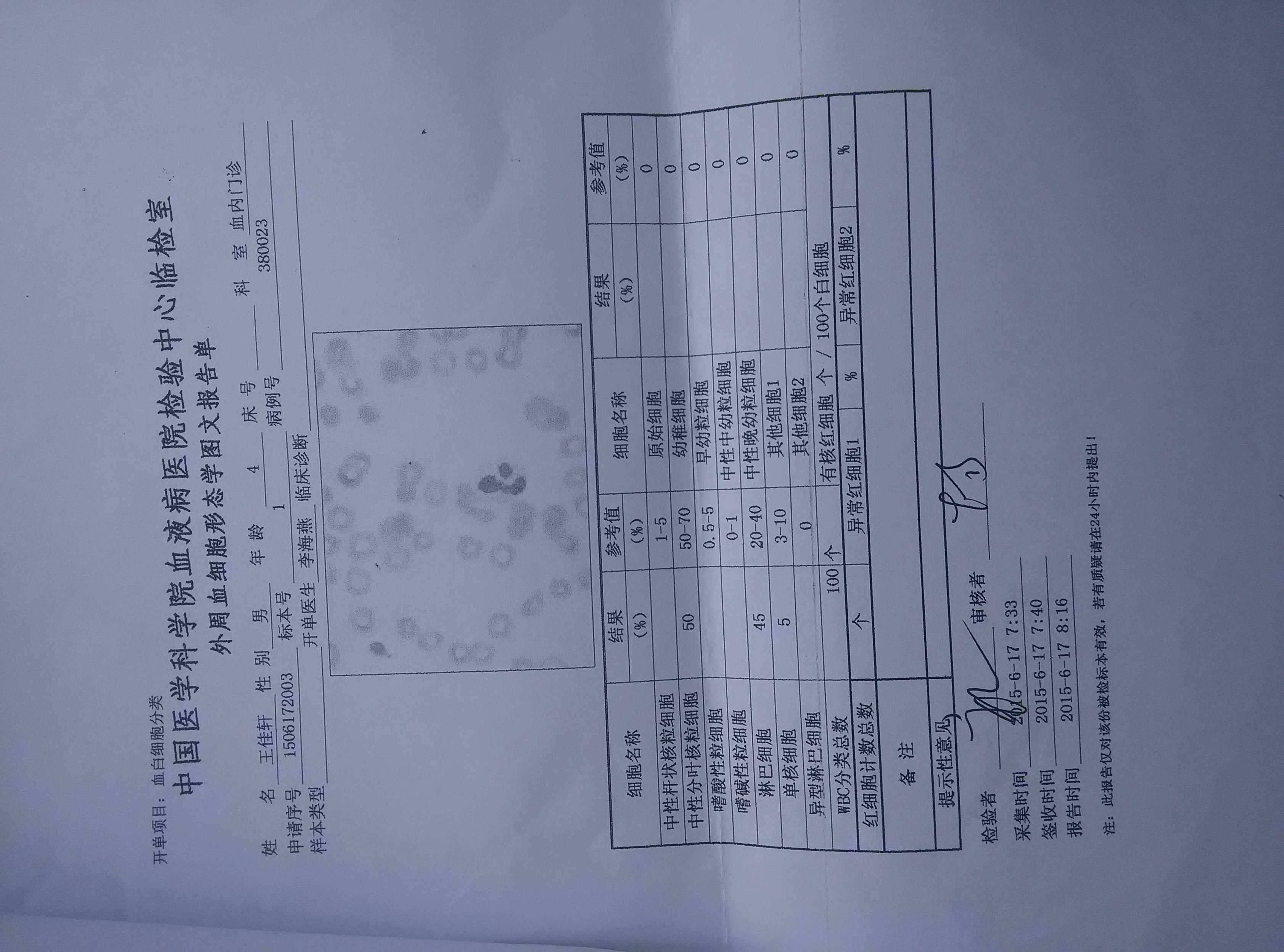 外周血细胞形态.jpg