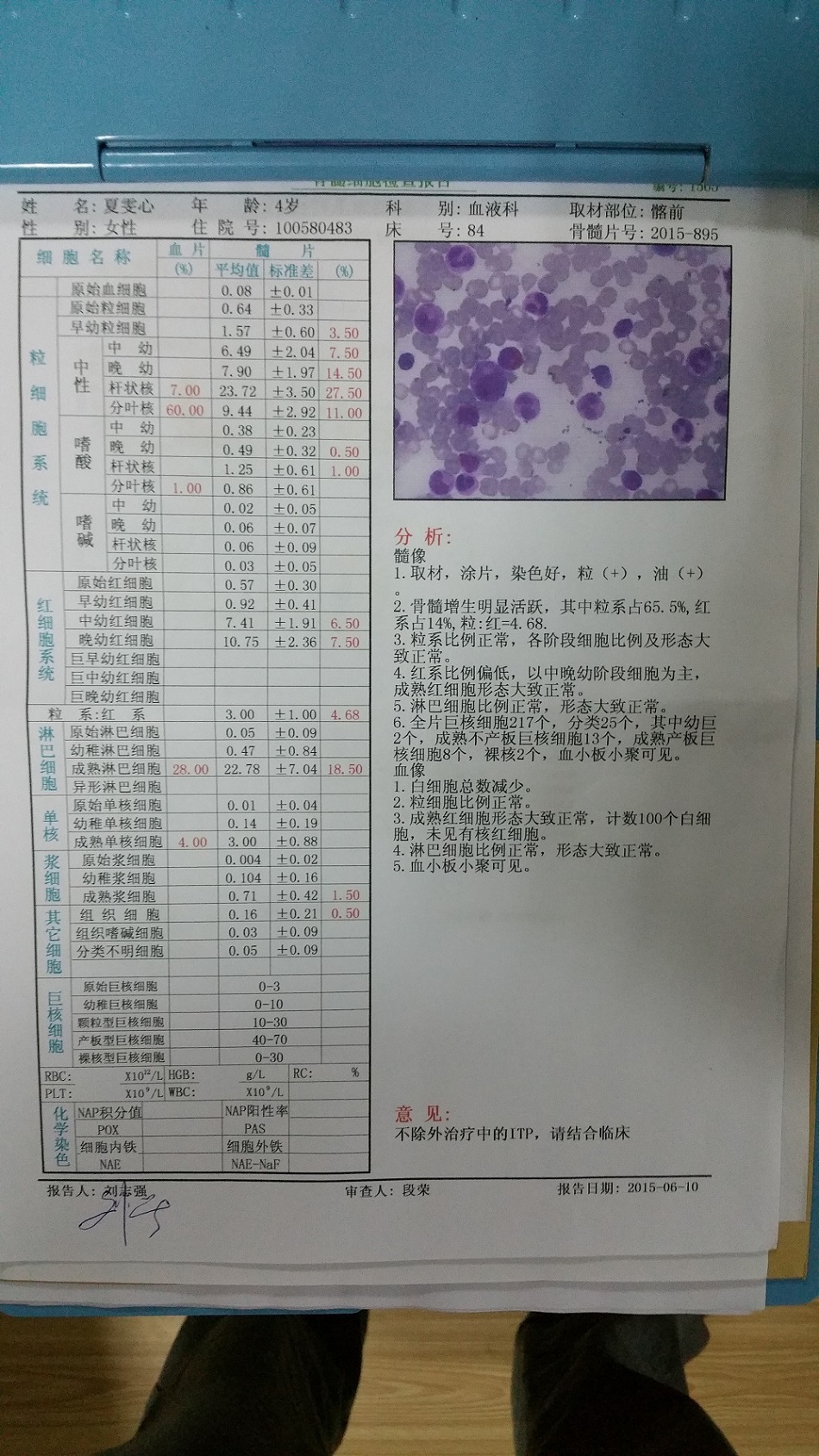 骨髓穿刺结果