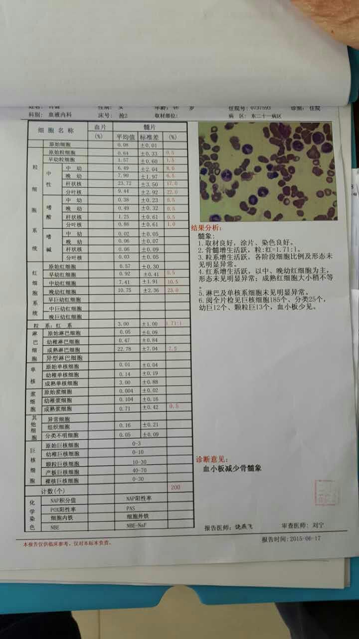 骨髓细胞检查分析报告20150615.jpg