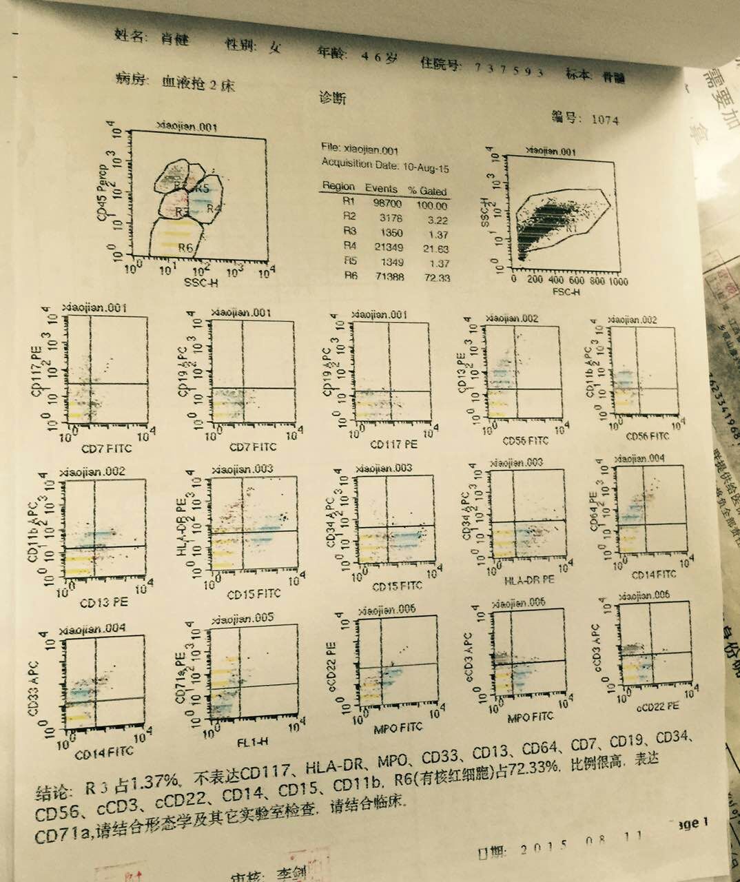 染色体20150811.jpg